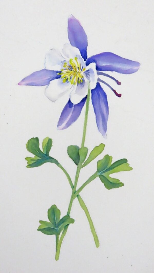 Molly Hashimoto - Wildflowers of the West: An Artist's Guide (Online); Monday, October 13, 2025 - Image 2