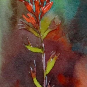Molly Hashimoto - Wildflowers of the West: An Artist's Guide (Online); Monday, October 13, 2025