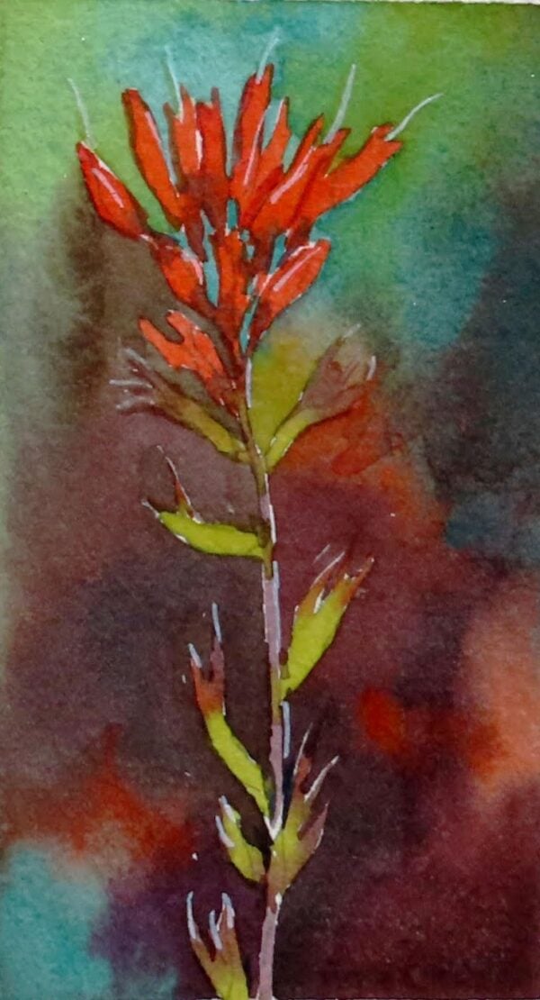 Molly Hashimoto - Wildflowers of the West: An Artist's Guide (Online); Monday, October 13, 2025