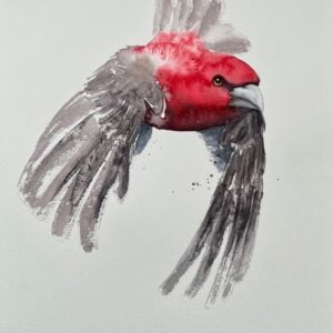 Ian de Hoog - Watercolour Birds in Flight (Online); Saturdays, September 6-27, 2025