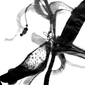 Soo Hong - Flow: Sumi (Recording)