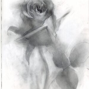 Catherine Bobkoski - Painterly Drawing Techniques with Pastel (Recording)