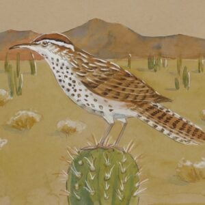 Molly Hashimoto - Birds of the West in Watercolor (Online); Monday, October 5, 2026